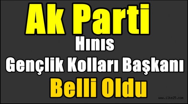 Ak Parti Hınıs Gençlik Kolları Başkanı Belli Oldu