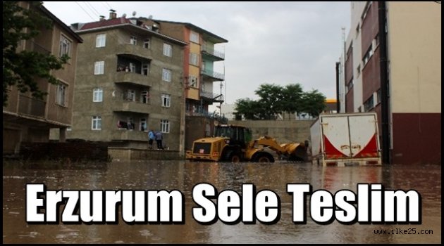 Erzurum Sele Teslim