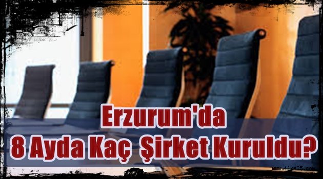 Erzurum'da 8 Ayda Kaç Şirket Kuruldu?