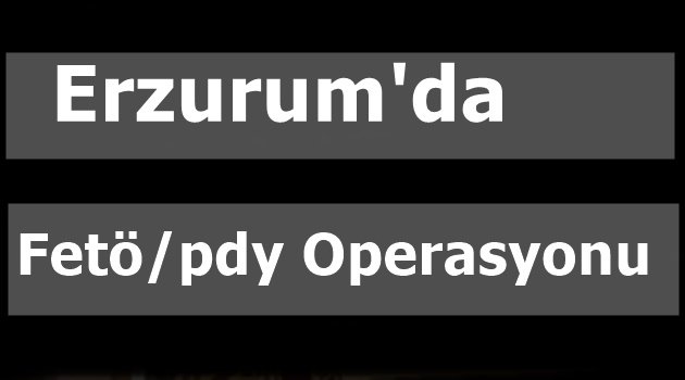 Erzurum'da  Fetö/pdy Operasyonu