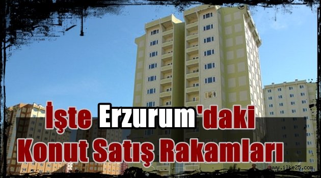  Erzurum'da Konut Satış Rakamları Açıklandı