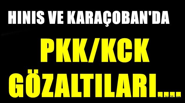 Hınıs Ve Karaçoban'da Terör Gözaltıları...