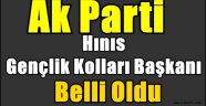 Ak Parti Hınıs Gençlik Kolları Başkanı Belli Oldu